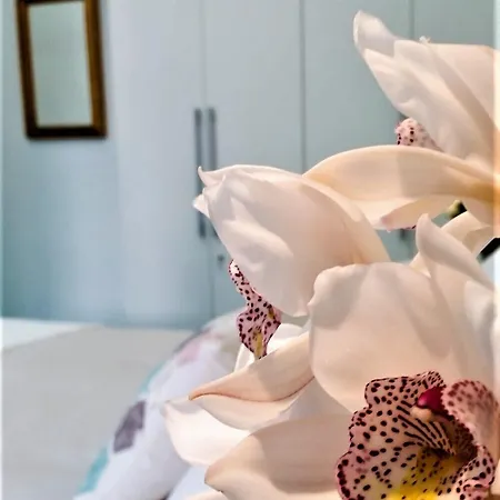La Corte Dei Naviganti - Amalfi Coast - 4* צ'טארה
