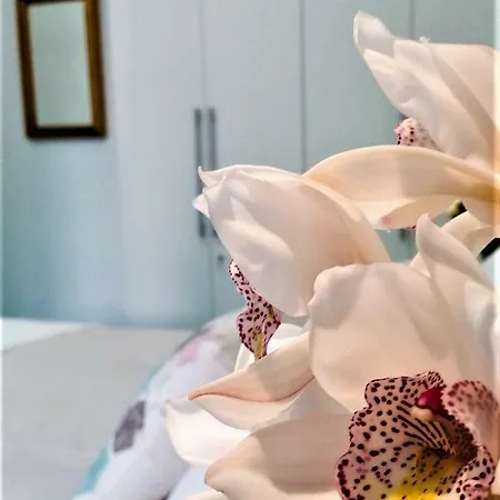 La Corte Dei Naviganti - Amalfi Coast - 4* צ'טארה