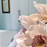 La Corte Dei Naviganti - Amalfi Coast - 4* Cetara