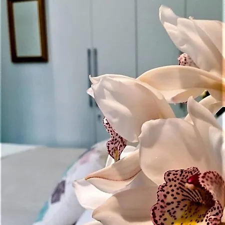 La Corte Dei Naviganti - Amalfi Coast - Bed & Breakfast Cetara
